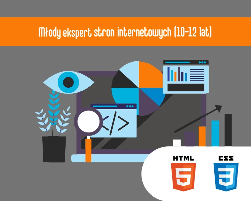 Młody Ekspert stron internetowych 